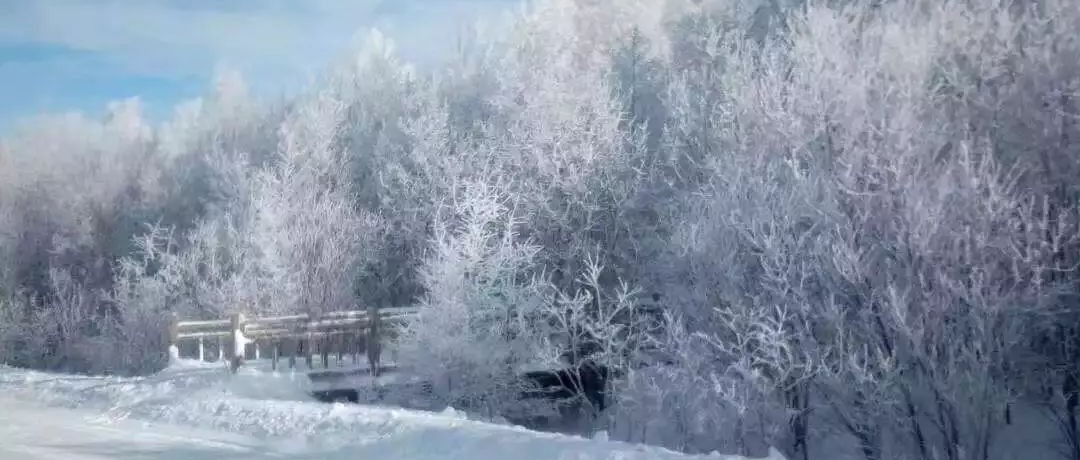 奕行記|奕路向北，駛向雪國(guó)阿爾山